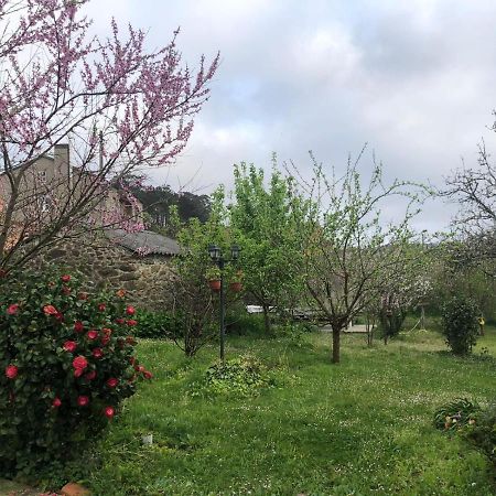 Casa Divina Elias Sixto Pampin Apartman Cee, Galicia Kültér fotó